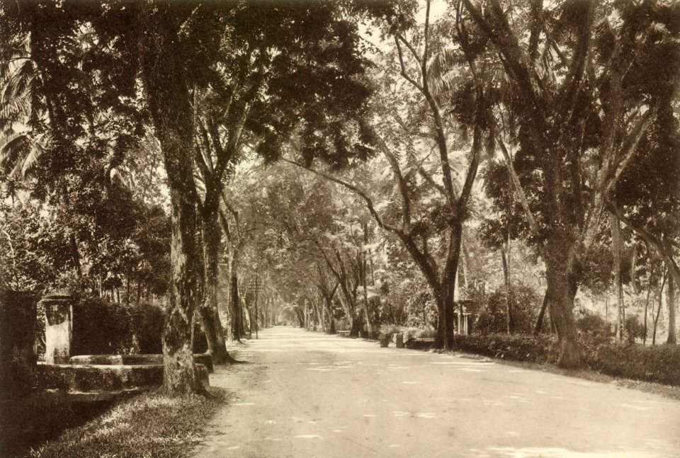 KITLV - 80034 - Kleingrothe, C.J. - Medan - Burmah Road, Penang - circa 1910
