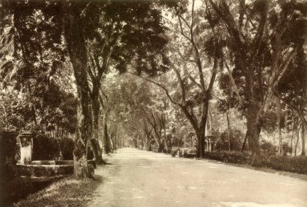 KITLV - 80034 - Kleingrothe, C.J. - Medan - Burmah Road, Penang - circa 1910 photo
