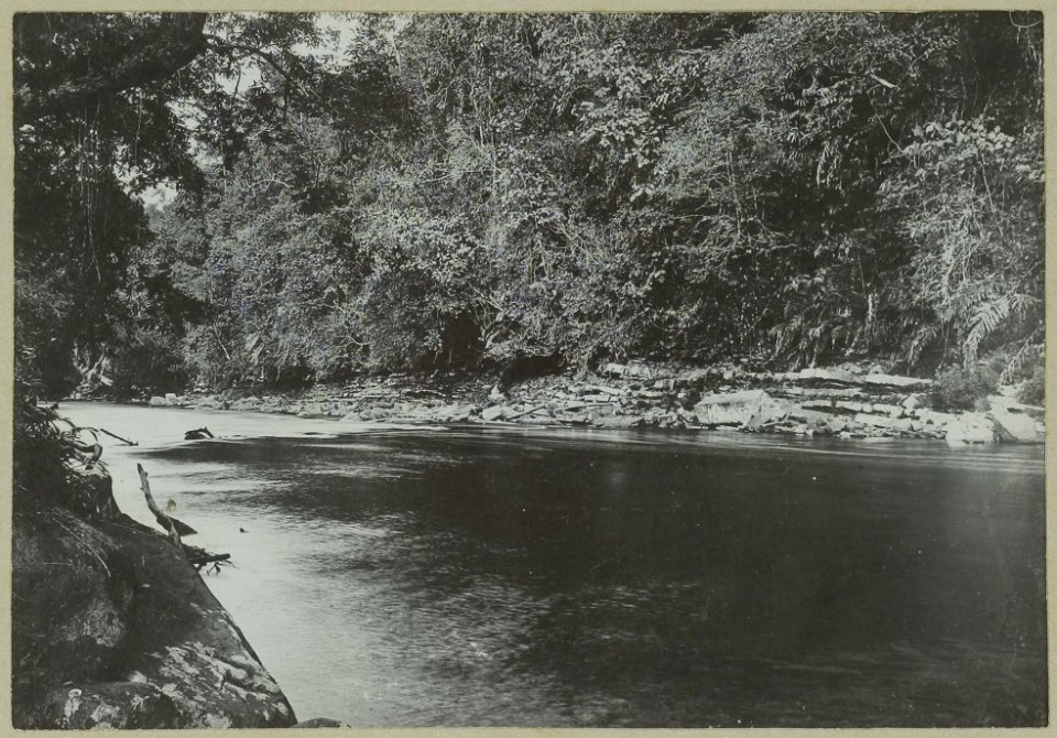 KITLV 25657 - Demmeni, Jean - Horizontal layers of sandstone in the right bank of the Bloeöe River downstream of the waterfall Kiham Mali (Central Borneo) - 1911