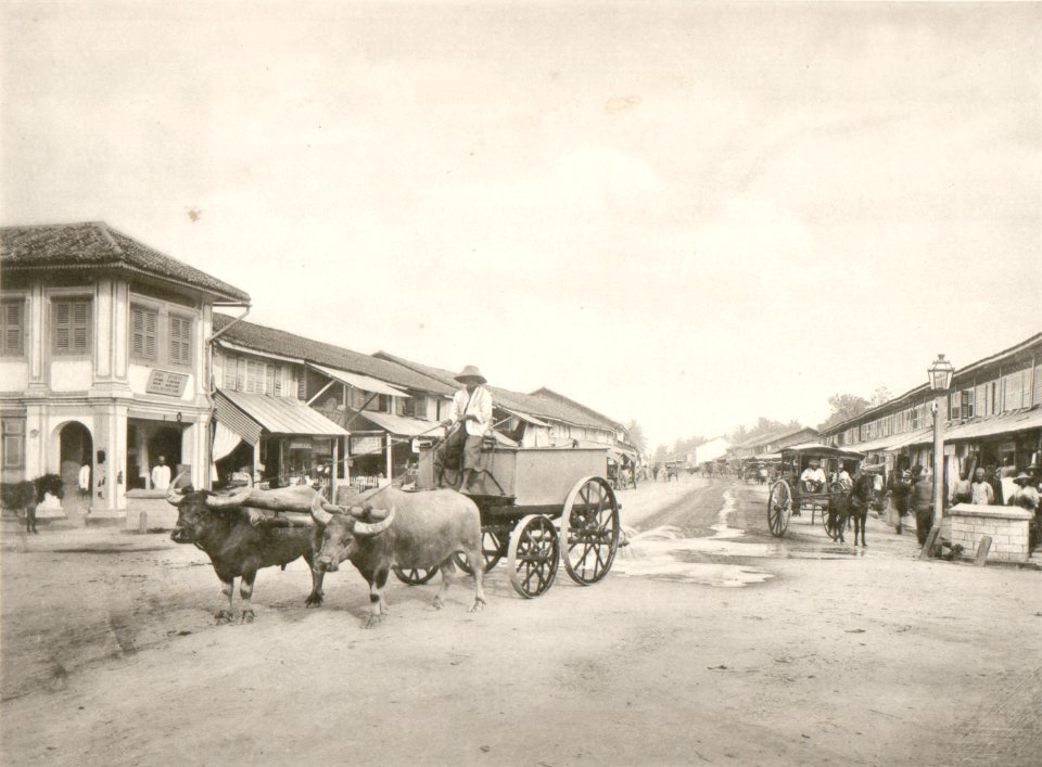 KITLV - 80217 - Kleingrothe, C.J. - Medan - Bullock cart in the shopping street Kesawan in Medan, Sumatra - 1898