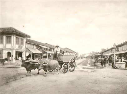 KITLV - 80217 - Kleingrothe, C.J. - Medan - Bullock cart in the shopping street Kesawan in Medan, Sumatra - 1898