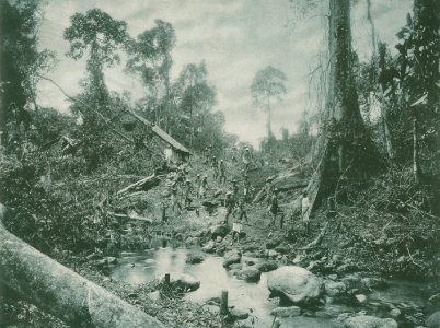 KITLV - 80225 - Kleingrothe, C.J. - Medan - Chinese workers clearing a forest for the construction of a road on the east coast of Sumatra - 1898