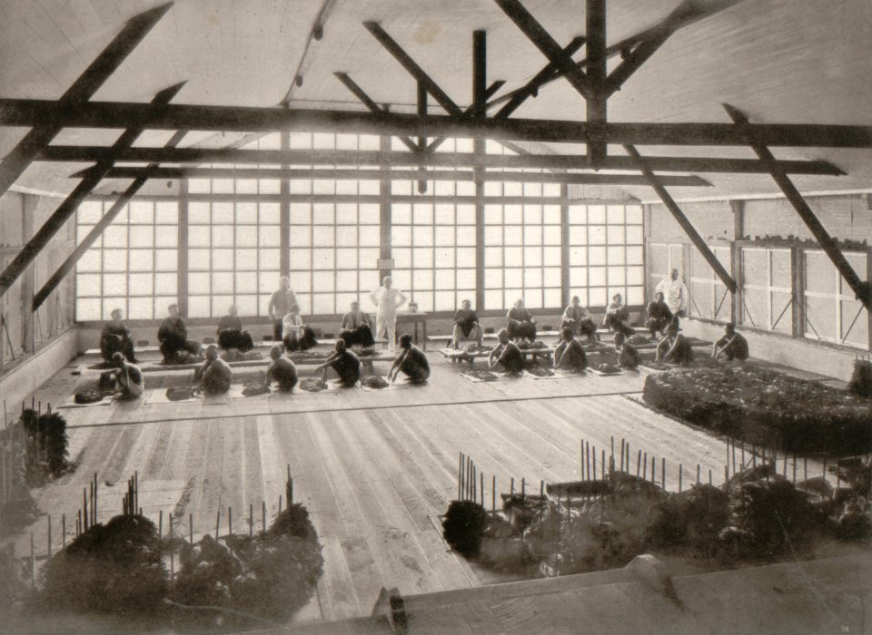 KITLV - 80241 - Kleingrothe, C.J. - Medan - Reception room in a fermentation barn, presumably on a tobacco plantation in the east coast of Sumatra - 1898