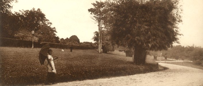 KITLV - 79992 - Kleingrothe, C.J. - Medan - Road at Batu Gajah in Ipoh, Malaysia - circa 1910