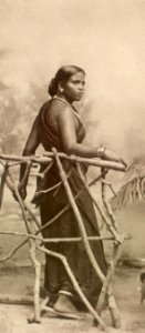 KITLV - 80012 - Kleingrothe, C.J. - Medan - Tamil woman, probably in Malaysia - circa 1910