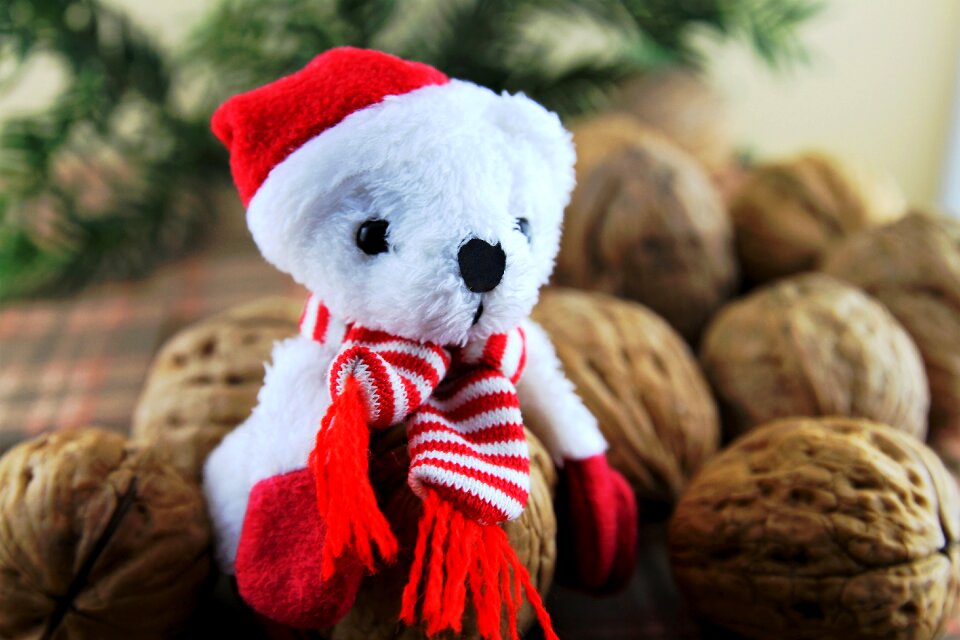 Teddy bear christmas healthy
