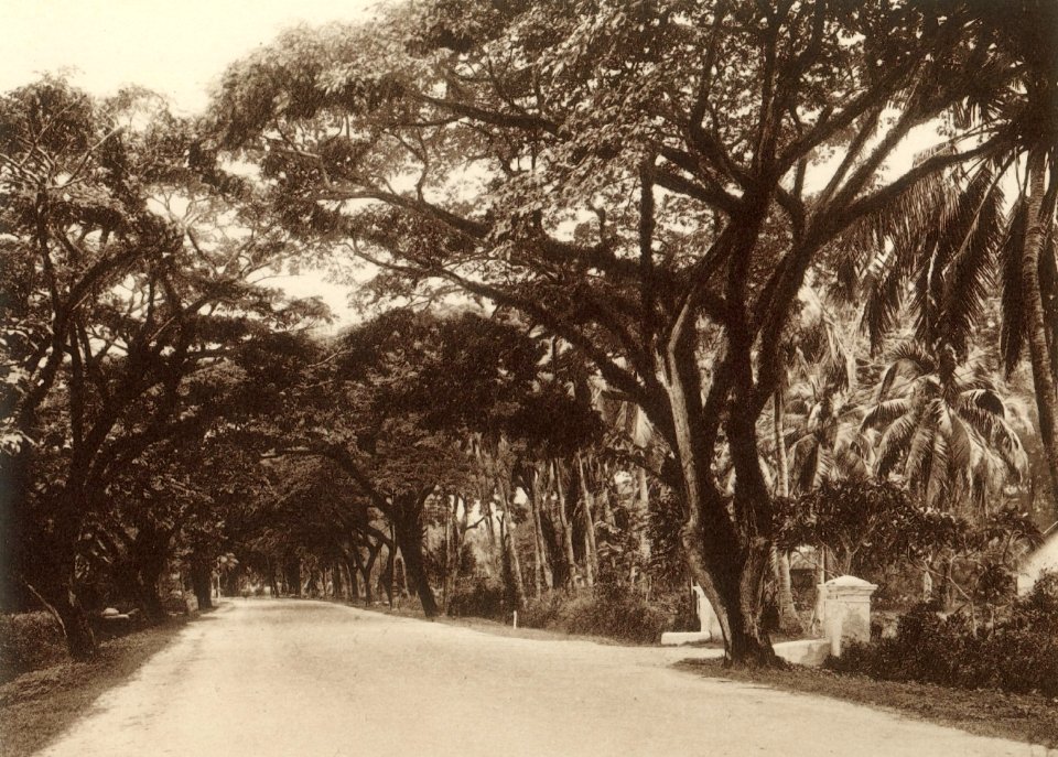 KITLV - 80028 - Kleingrothe, C.J. - Medan - Northam Road at Penang Island - circa 1910