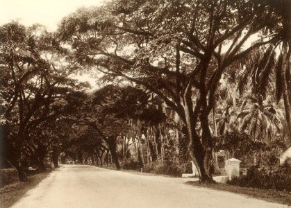 KITLV - 80028 - Kleingrothe, C.J. - Medan - Northam Road at Penang Island - circa 1910 photo