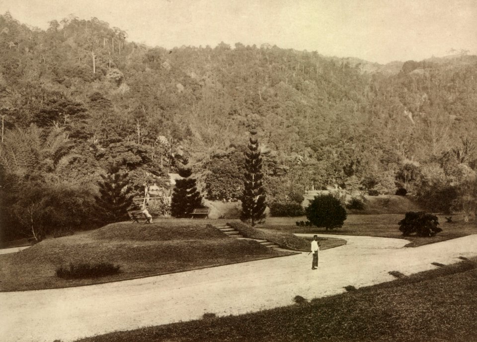 KITLV - 80036 - Kleingrothe, C.J. - Medan - Botanical Gardens in Penang - circa 1910