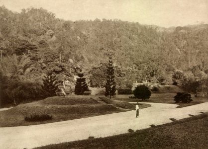 KITLV - 80036 - Kleingrothe, C.J. - Medan - Botanical Gardens in Penang - circa 1910 photo