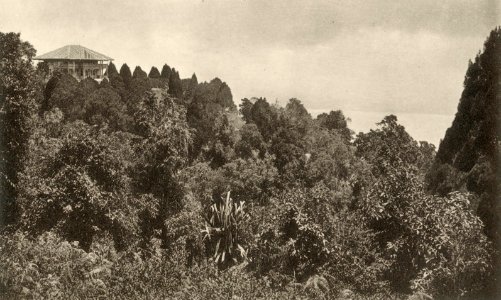 KITLV - 80044 - Kleingrothe, C.J. - Medan - Government Villa at the Crag Hotel Penang - circa 1910
