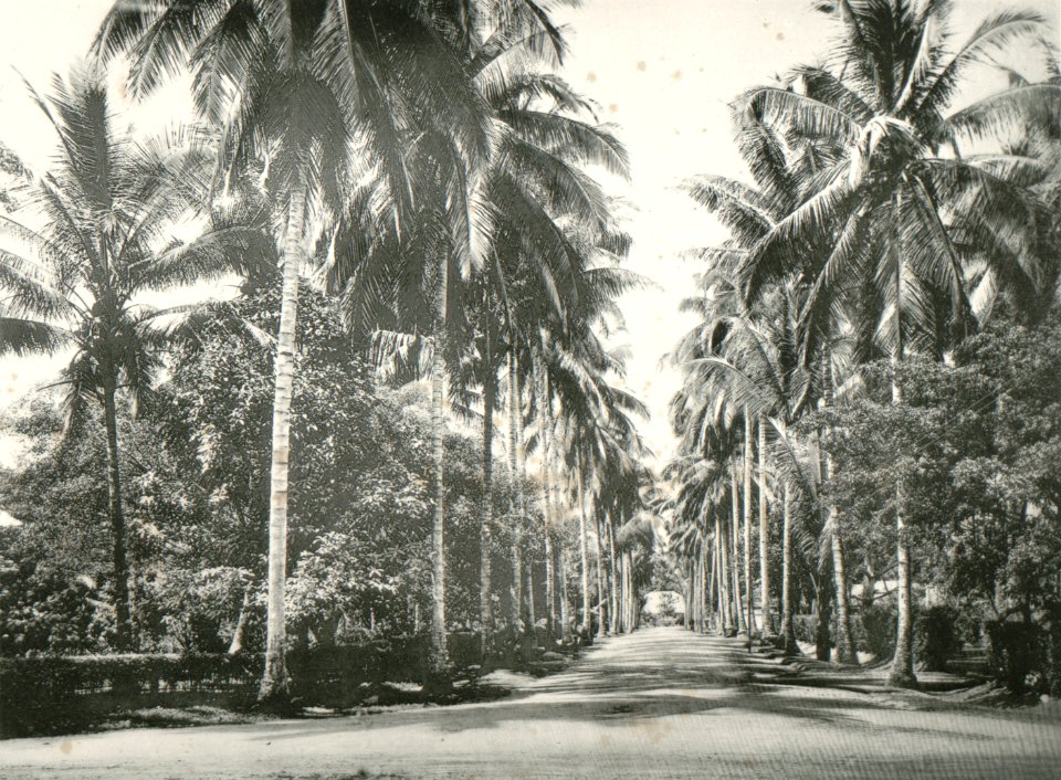 KITLV - 80219 - Kleingrothe, C.J. - Medan - Delilaan in Medan, Sumatra - 1898