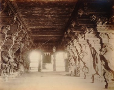KITLV 92088 - Unknown - Pillars in the temple complex at Madurai Meenakshi Sundareshvara in India - Around 1870