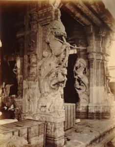 KITLV 92096 - Unknown - Pillars in the temple complex at the Meenakshi Sundareshvara temple complex at Madura in India - Around 1870 photo