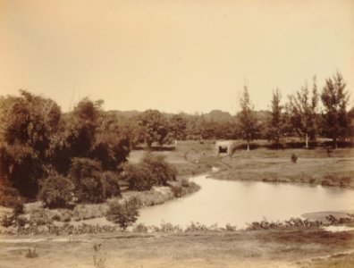 KITLV 92033 - Unknown - Cubbon Park in Bangalore, India - Around 1870 photo
