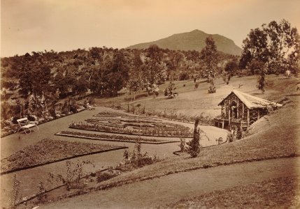 KITLV 92128 - Unknown - Sim park at Coonoor in India - Around 1870 photo