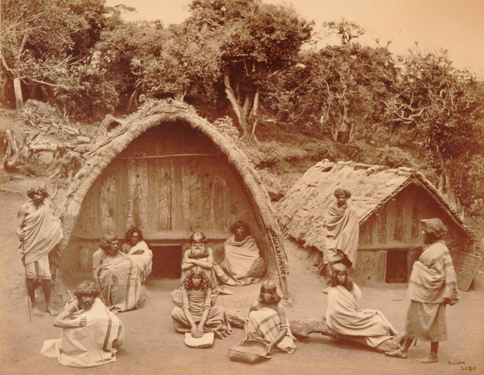 KITLV 92106 - Samuel Bourne - Toda villagers for a house at Ooty in India - 1869