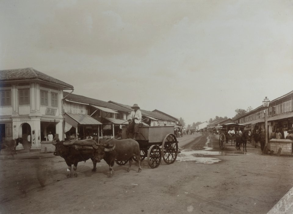 KITLV - 86750 - Stafhell & Kleingrothe - Medan-Deli - Carriages in a shopping street, probably at Medan, Sumatra - circa 1900