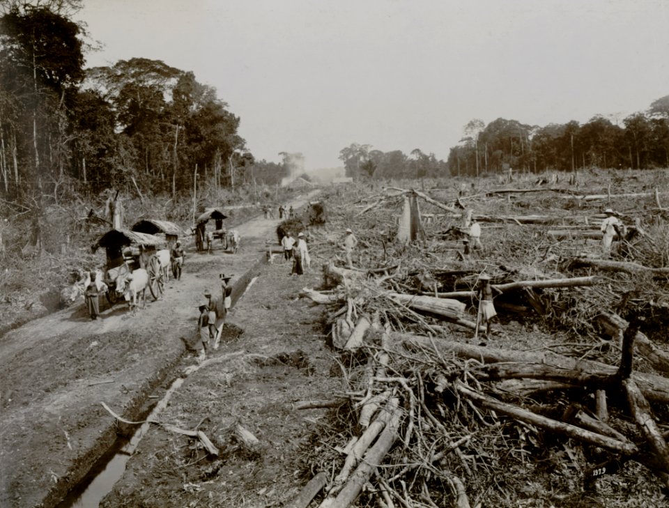 KITLV - 86754 - Stafhell & Kleingrothe - Medan-Deli - Reclamation of land at a company in Deli - circa 1900