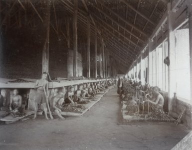 KITLV - 86758 - Stafhell & Kleingrothe - Medan-Deli - Sort shed, probably a tobacco plantation in Deli - circa 1900