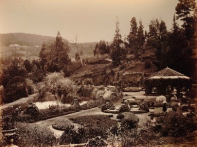 KITLV 92189 - Unknown - Botanical Garden at Ooty (Ootacamund) in India - Around 1870 photo