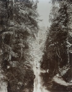 KITLV - 86766 - Stafhell & Kleingrothe - Medan-Deli - River with waterfall, probably in Deli - circa 1900