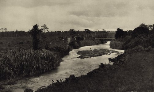KITLV - 88283 - Kleingrothe, C.J. - Medan - Patumbah bridge over the Sungai Percut in plantation Deli Tuva of the Deli Company in Deli - 1905