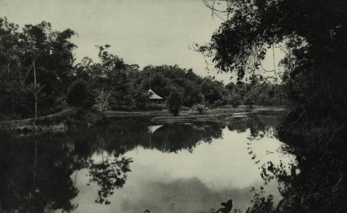 KITLV - 88288 - Kleingrothe, C.J. - Medan - Administrator's house on a pond on the plantation Bekalla of the Deli Company in Deli - 1905