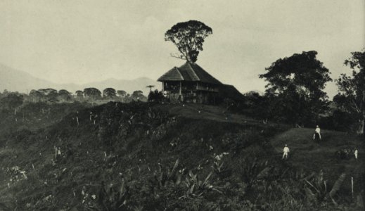 KITLV - 88292 - Kleingrothe, C.J. - Medan - House for the assistents on the plantation Bekalla of the Deli Company in Deli - 1905
