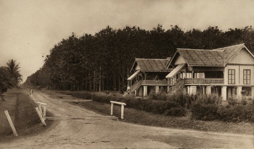 KITLV - 88308 - Kleingrothe, C.J. - Medan - Assistant houses on the grounds of the plantation Bulu Cina of the Deli Company in Deli - 1905