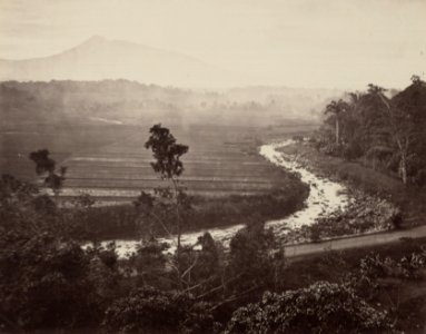 KITLV 115047 - Isidore van Kinsbergen - Sawah with river at Buitenzorg - Around 1880 photo