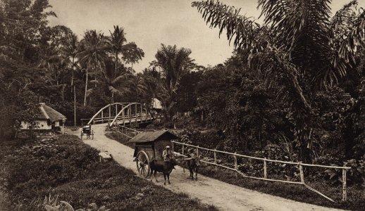 KITLV - 88340 - Kleingrothe, C.J. - Medan - Bridge and ox cart on a road near plantation Namoe Oekor of the Deli Company in Deli - 1905