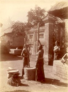KITLV - 90543 - Kurkdjian - Sourabaia-Java - Women pounding rice in Bali - circa 1910