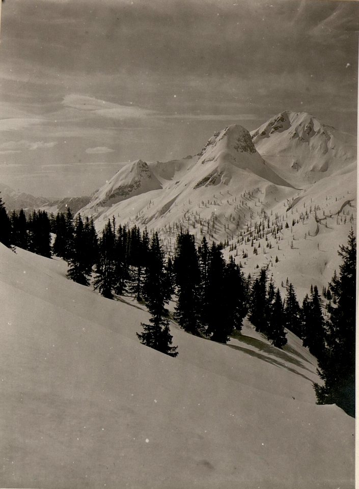 Kl.u.Gr.Pizul, Eiserner Ritter, Mt.Zermula, Pta.Cul di Cretta bis Findenigkofel. Stpkt, am Lanzenboden vor den Feldwachen. (24-4.1917.) (BildID 15800387)