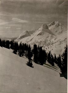 Kl.u.Gr.Pizul, Eiserner Ritter, Mt.Zermula, Pta.Cul di Cretta bis Findenigkofel. Stpkt, am Lanzenboden vor den Feldwachen. (24-4.1917.) (BildID 15800387)