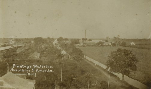 KITLV - 91642 - Sugar plantation Waterloo in Nickerie - circa 1880