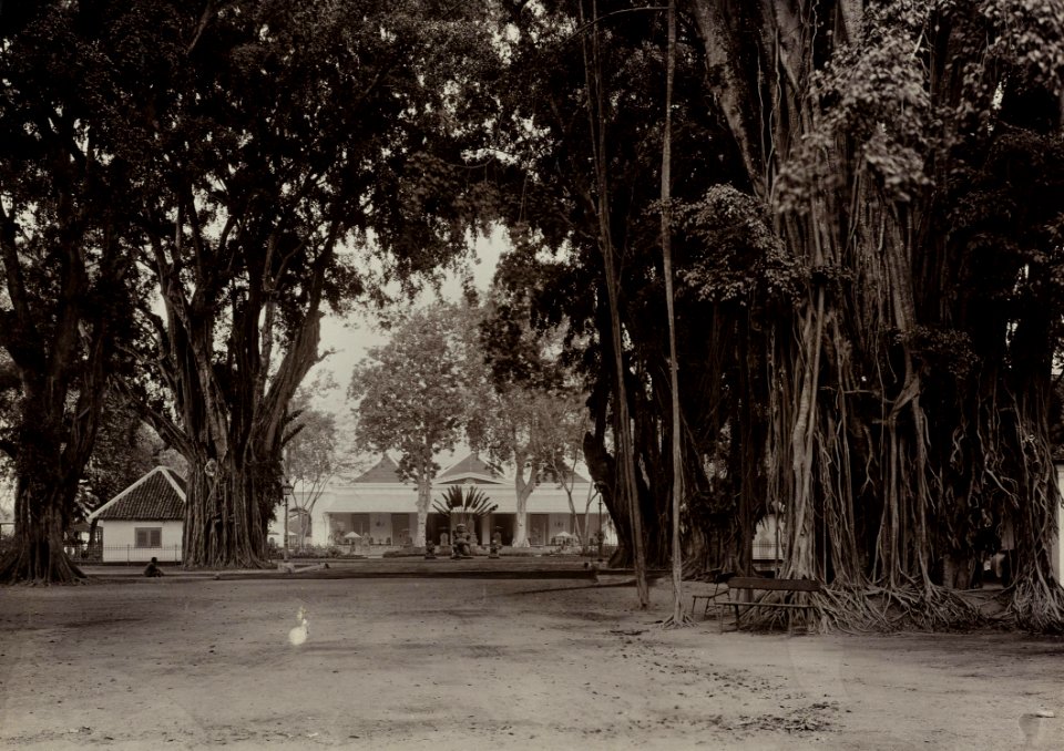 KITLV 40550 - Kassian Céphas - The residency in Yogyakarta. In the garden a variety of Javanese Hindu and Buddhist sculptures - Around 1895