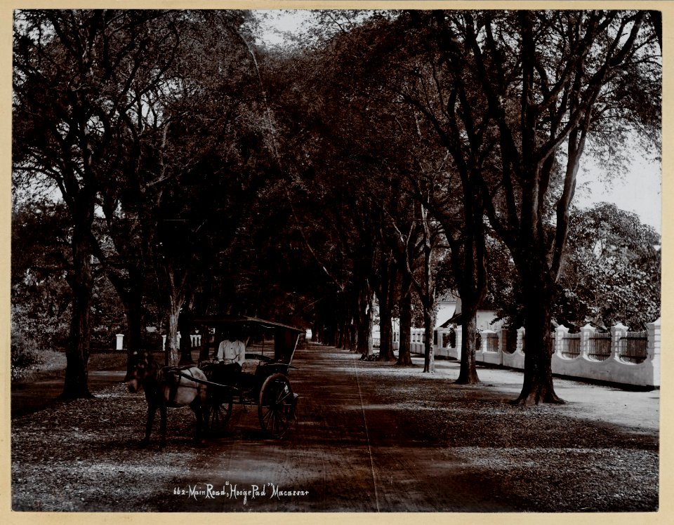 KITLV - 9902 - Lambert & Co., G.R. - Singapore - The Hooge Pad at Makassar, Sulawesi - circa 1910