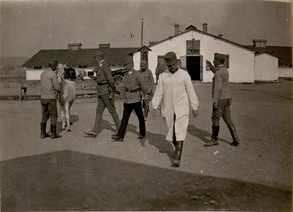 Klassifikationskommission in Klagenfurt, Pferdespital. (20-6.1917.) (BildID 15799405)