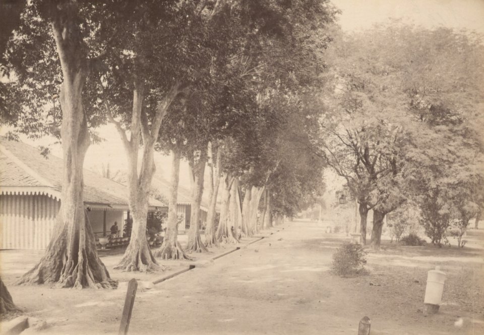 KITLV 103223 - Kassian Céphas - Houses officer in the military encampment at Yogyakarta - Around 1896