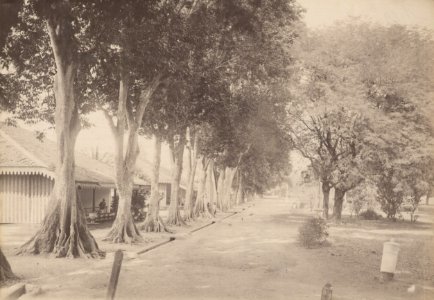 KITLV 103223 - Kassian Céphas - Houses officer in the military encampment at Yogyakarta - Around 1896