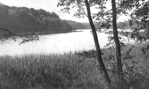 Kleiner Schierensee (Kiel 70.129)