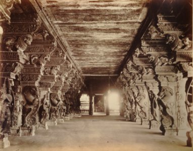 KITLV 92095 - Nicholas and Company - Pillars in the temple complex at Madurai Meenakshi Sundareshvara in India - Around 1875 photo