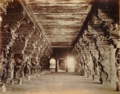 KITLV 92095 - Nicholas and Company - Pillars in the temple complex at Madurai Meenakshi Sundareshvara in India - Around 1875