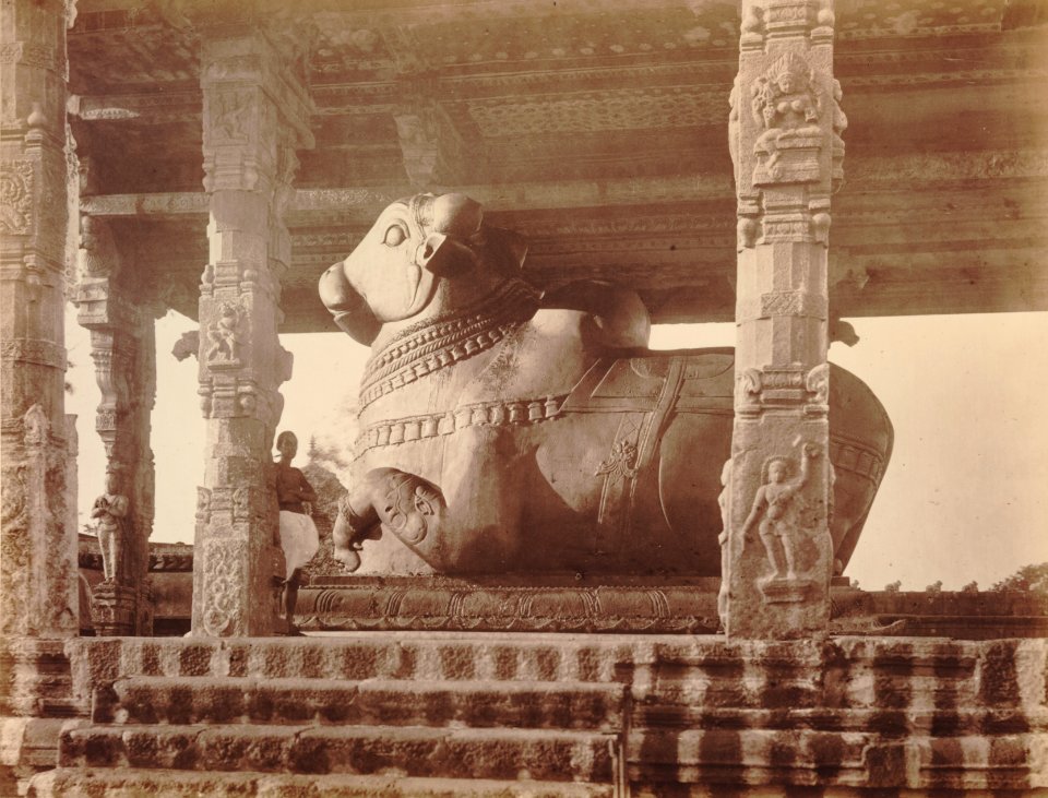 KITLV 92123 - Unknown - Nandi in Brihadishvara temple complex at Thanjavur in India - Around 1870
