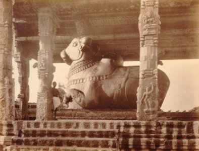 KITLV 92123 - Unknown - Nandi in Brihadishvara temple complex at Thanjavur in India - Around 1870