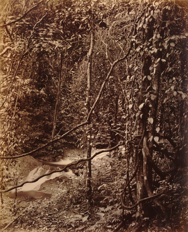 KITLV 92135 - Unknown - Waterfall at Coonoor in India - Around 1870