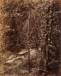 KITLV 92135 - Unknown - Waterfall at Coonoor in India - Around 1870