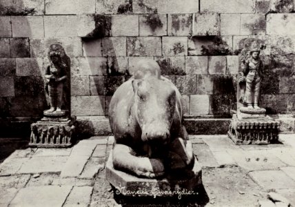 KITLV 40536 - Kassian Céphas - Nandi in Nandi temple of Prambanan Tjandi - 1895-04