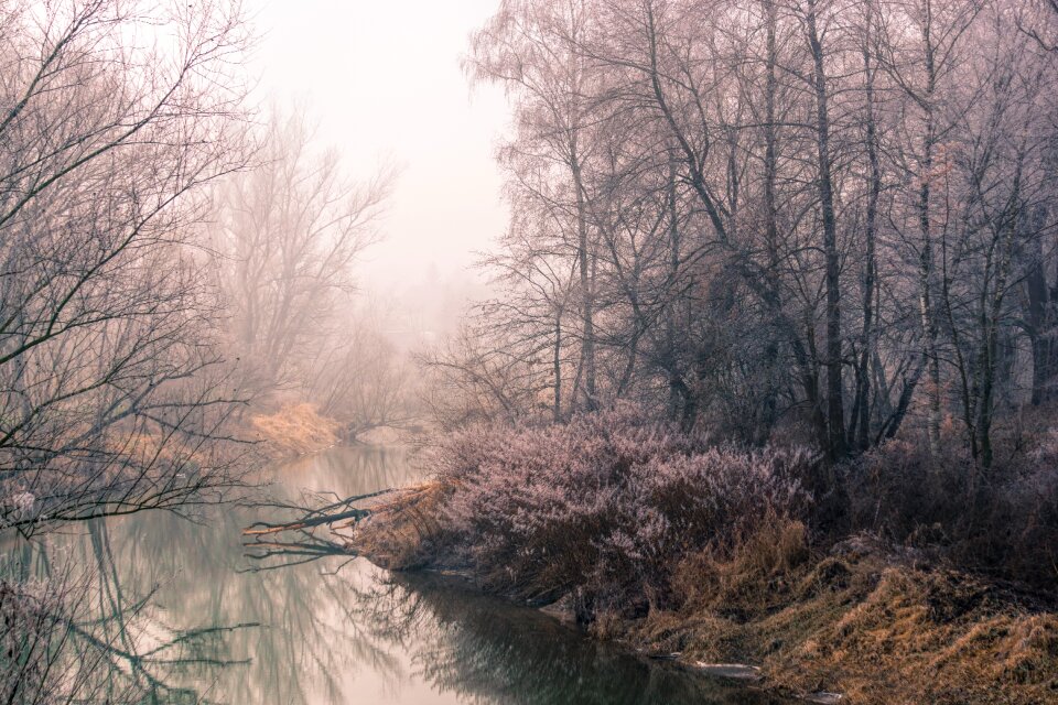 The fog water landscape